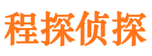 昌江县市调查公司